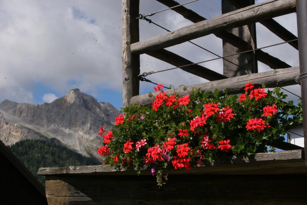 Albergo Diffuso Sauris In Sauris Di Sopra 外观 照片